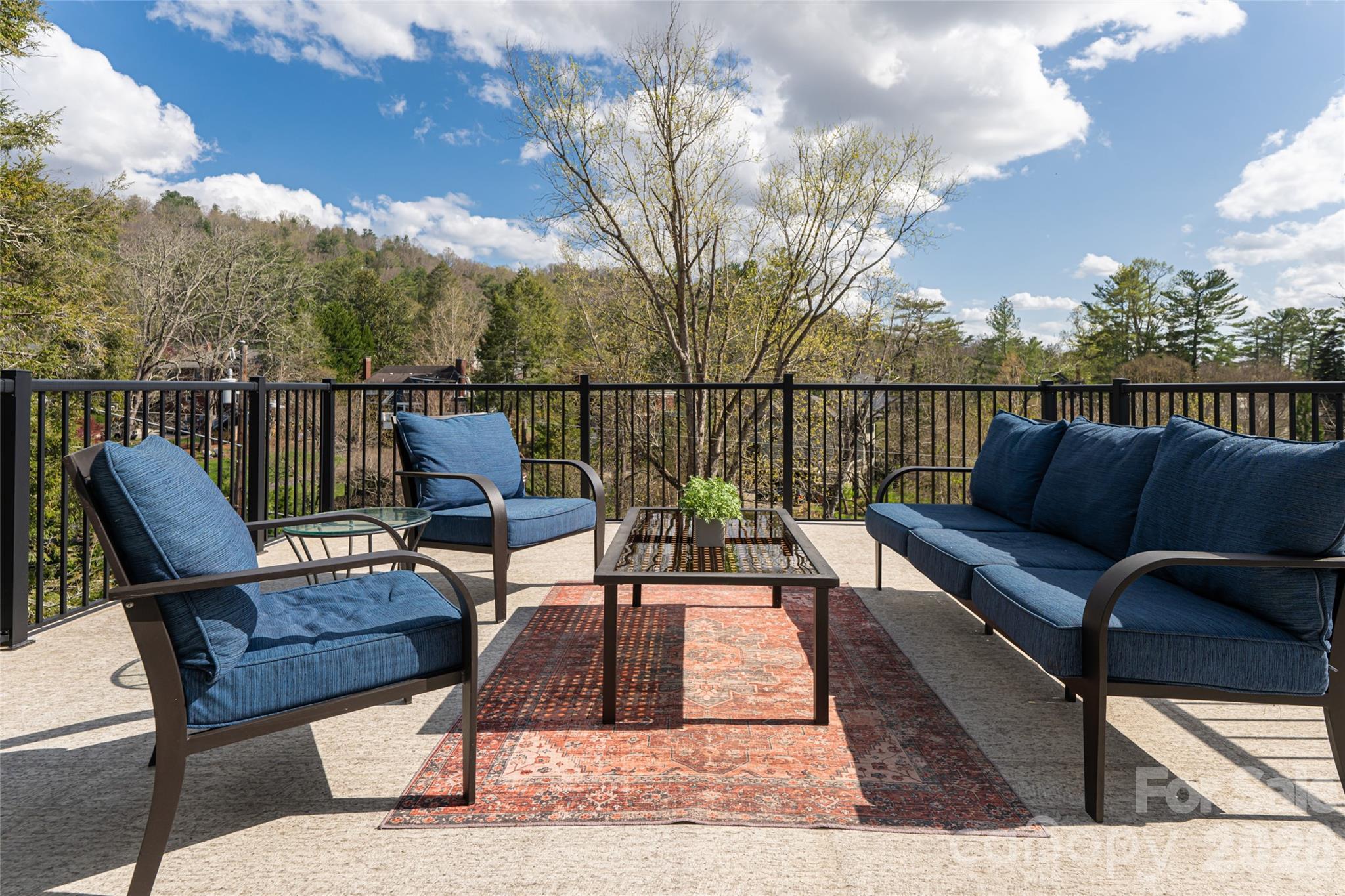 18 Edgemont Road — Asheville