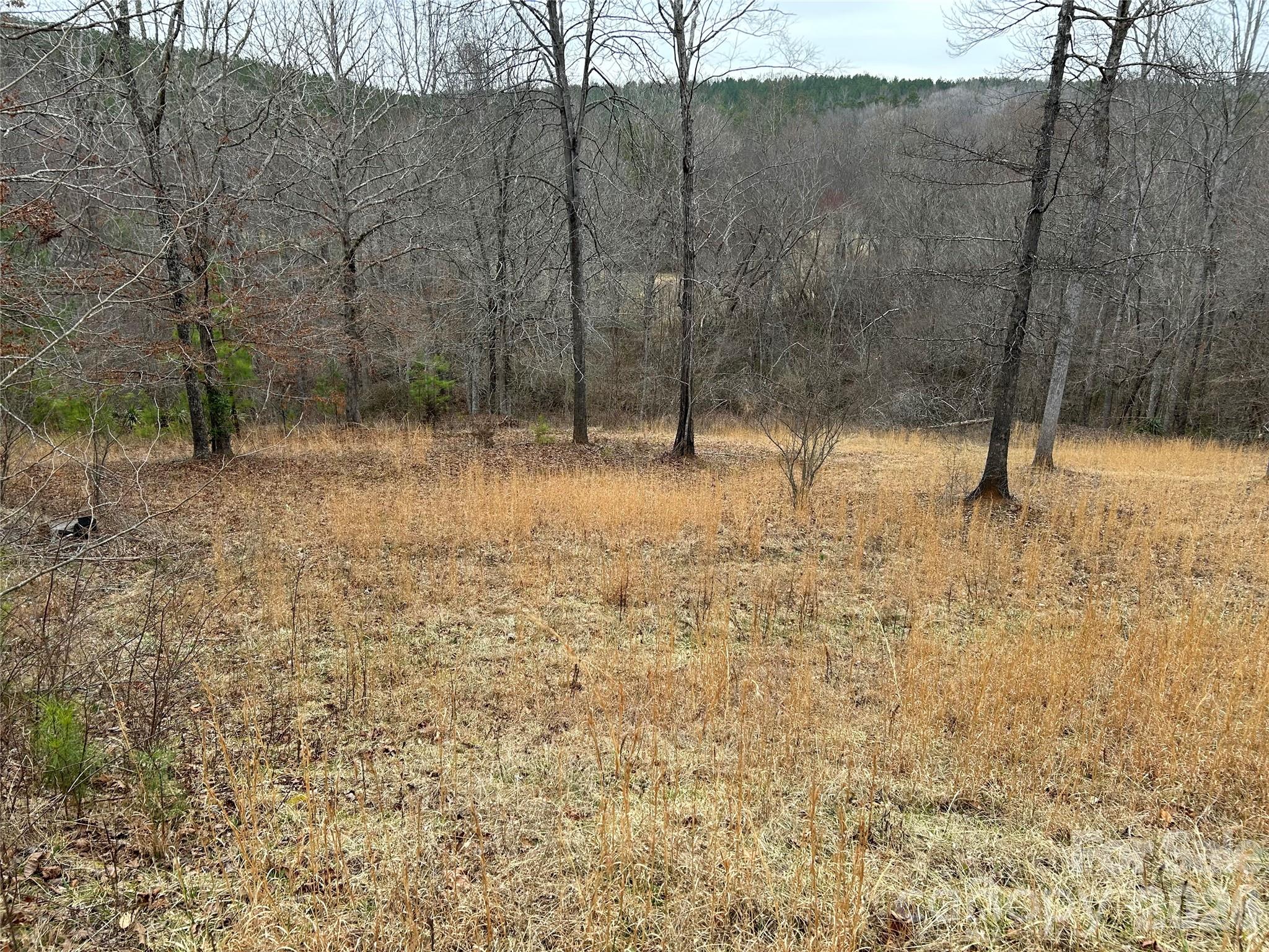 322 Balmy Lane — Rutherfordton