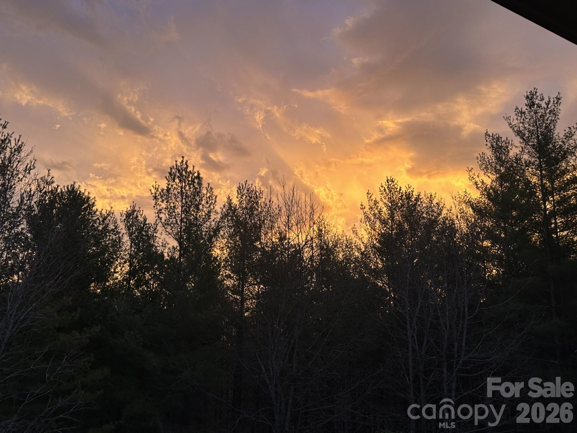 293 Bear Cliff Drive — Nebo