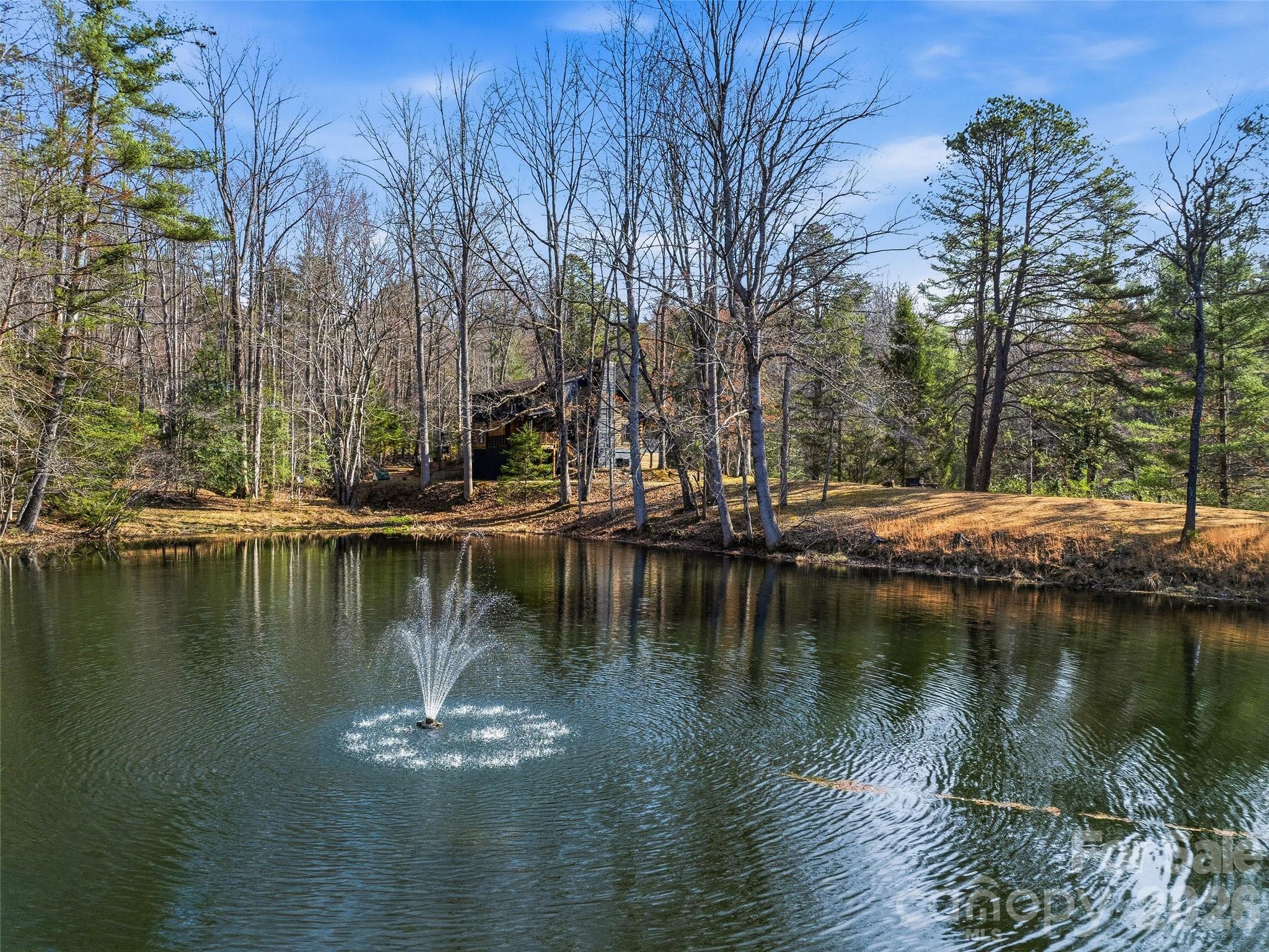 55 Valley Lane — Pisgah Forest