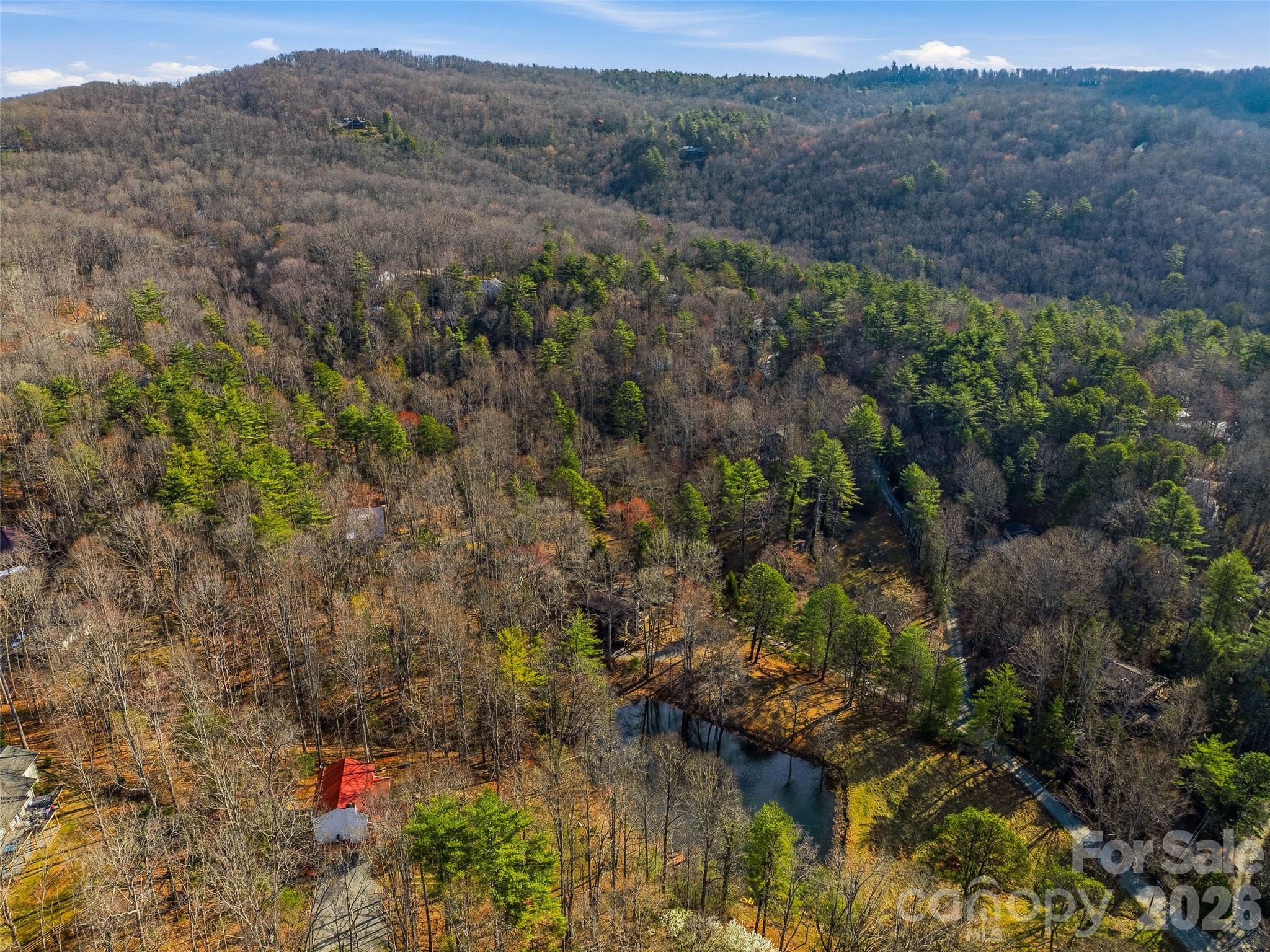 55 Valley Lane — Pisgah Forest