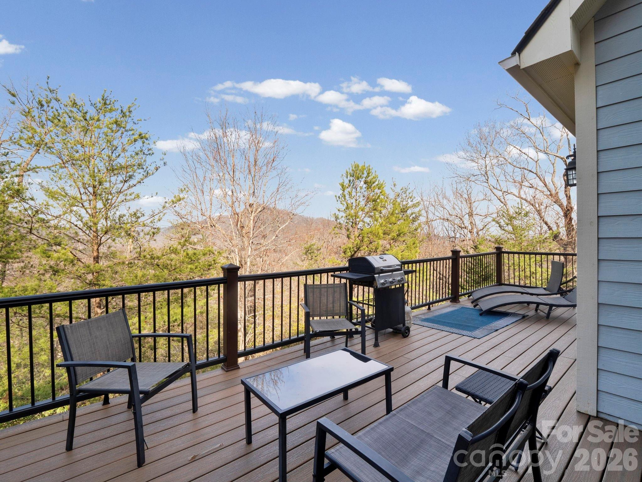 308 Bluebird Road — Lake Lure