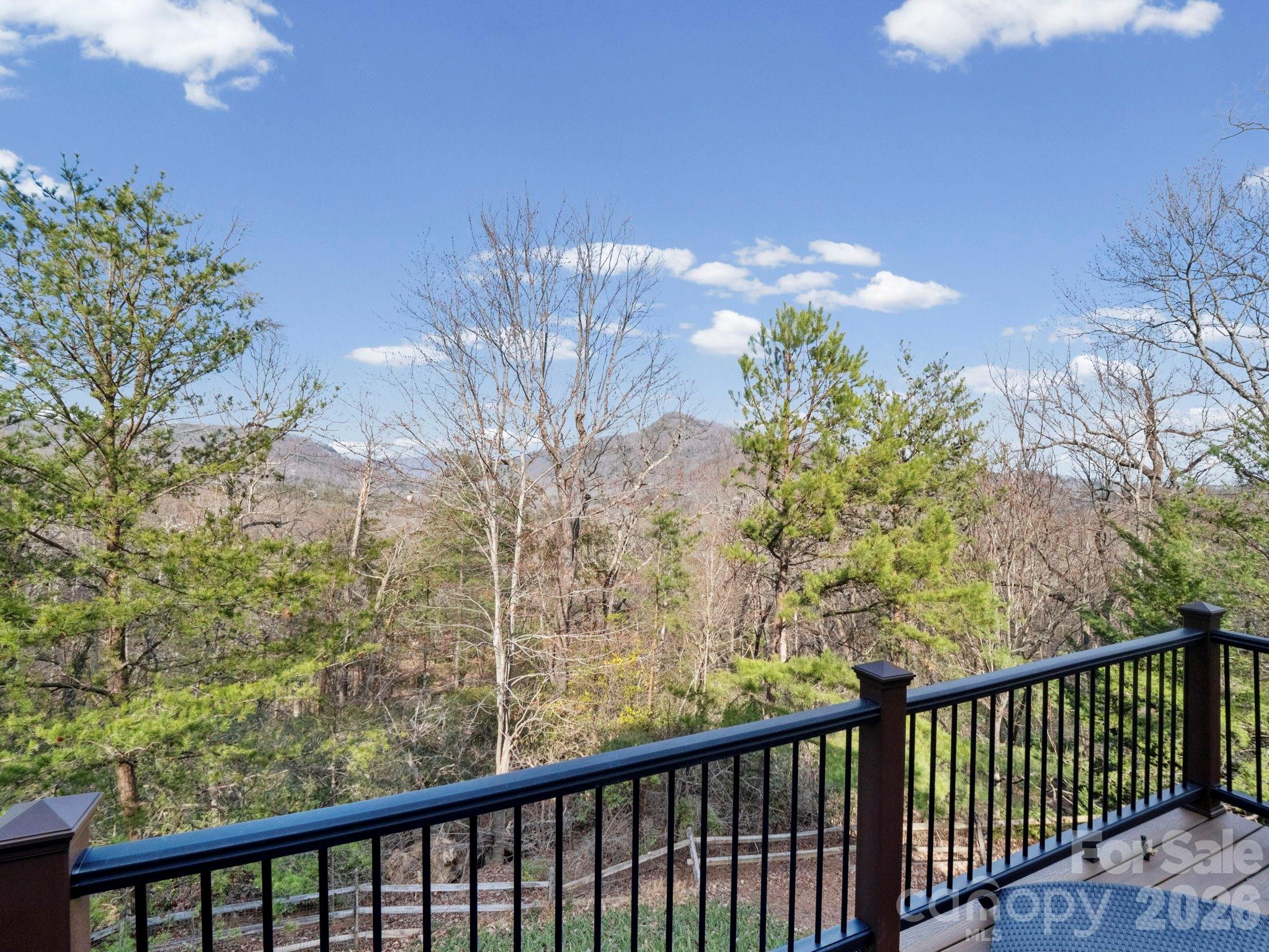 308 Bluebird Road — Lake Lure