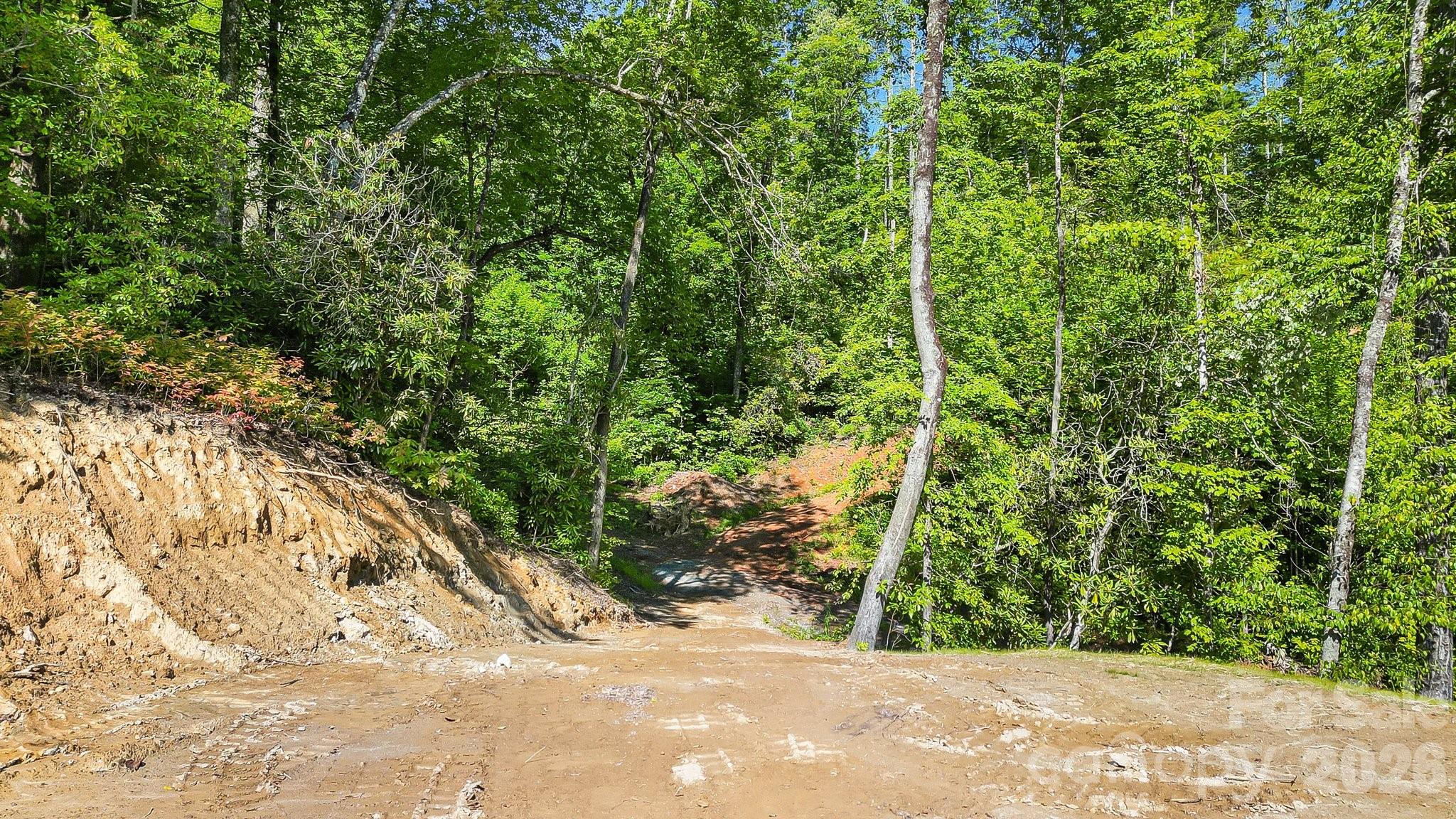 110 South Fork Trail #10 — Lake Toxaway