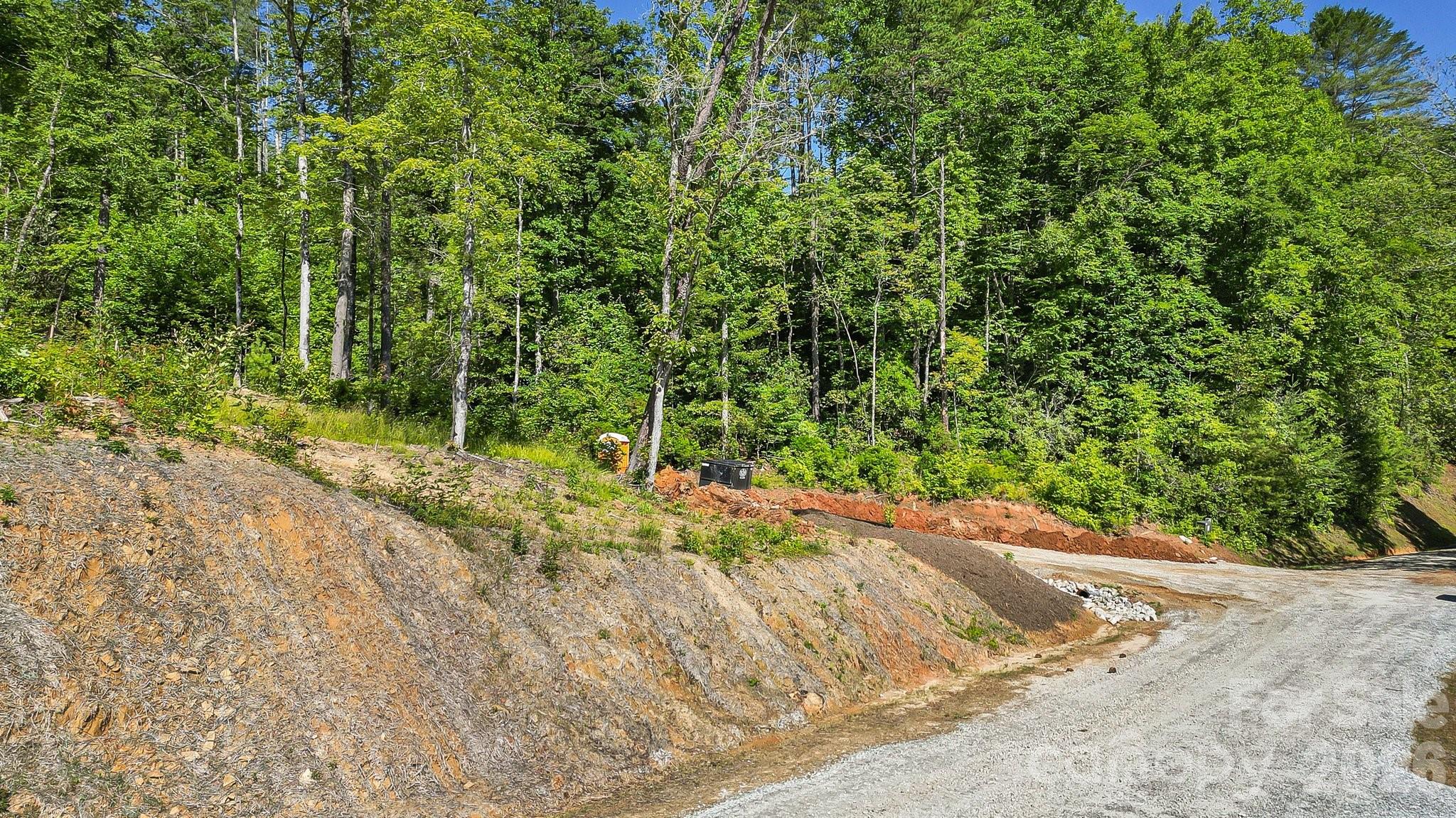 110 South Fork Trail #10 — Lake Toxaway