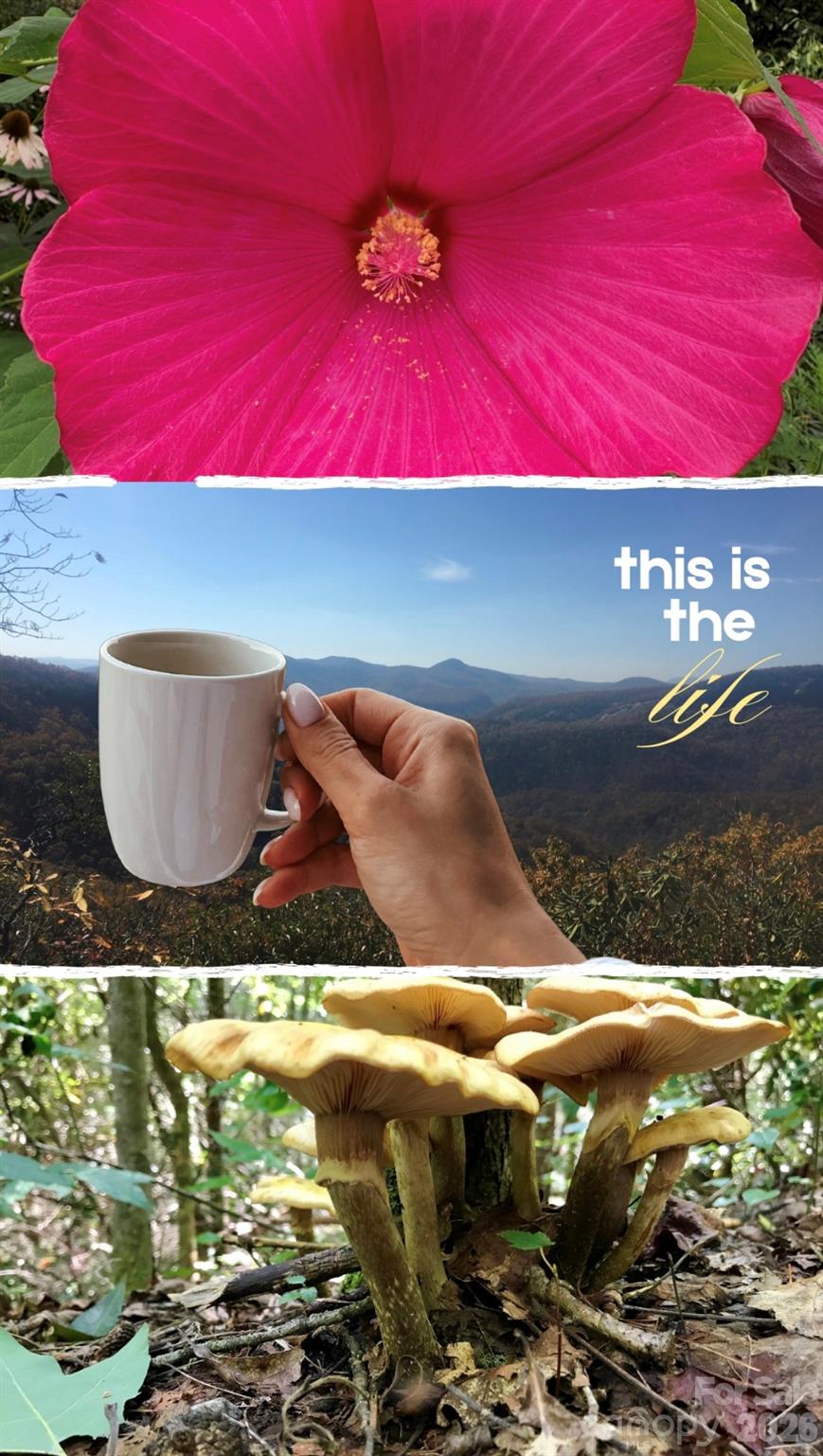 110 South Fork Trail #10 — Lake Toxaway
