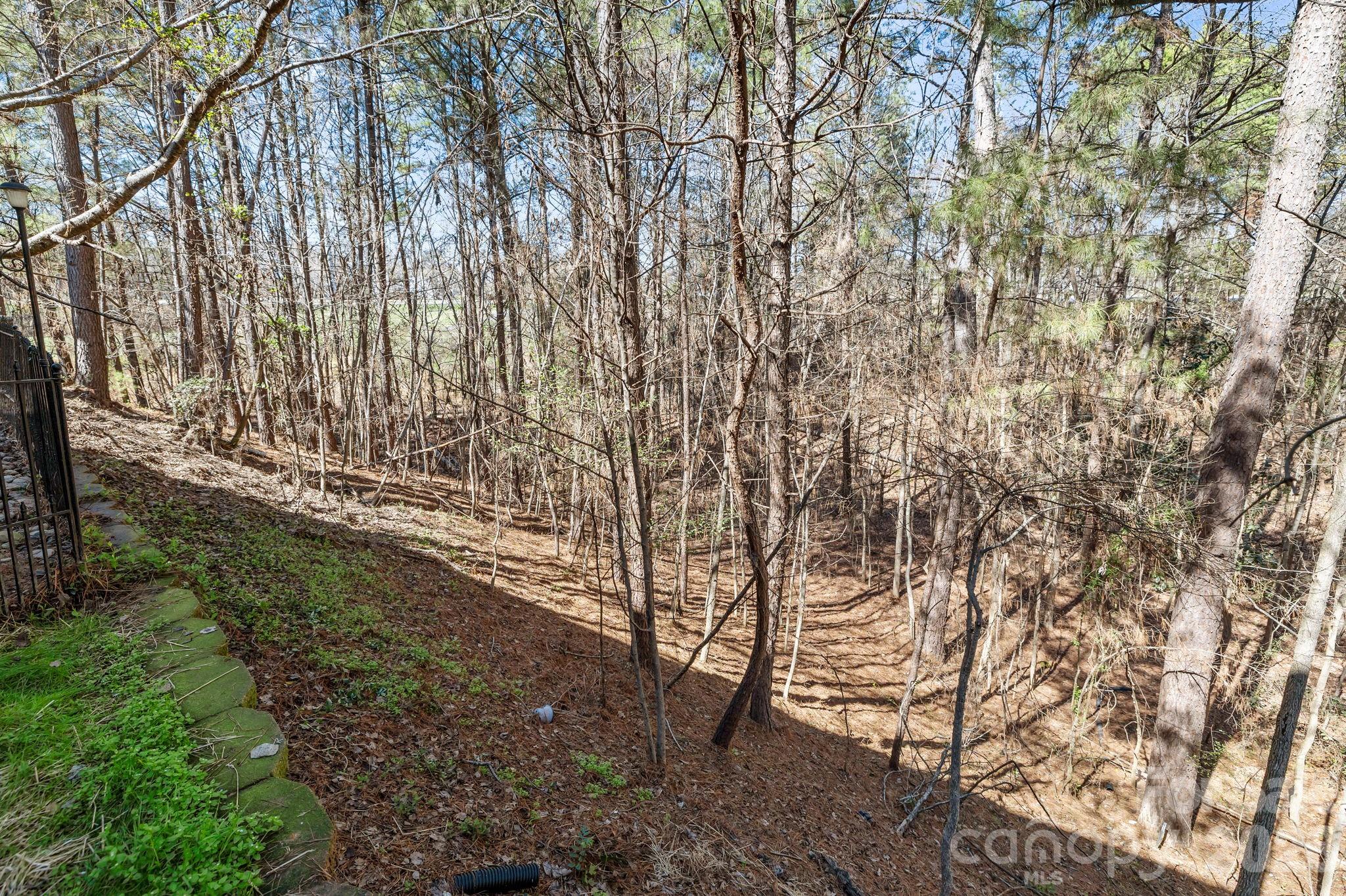 7218 Cascading Pines Drive — Tega Cay