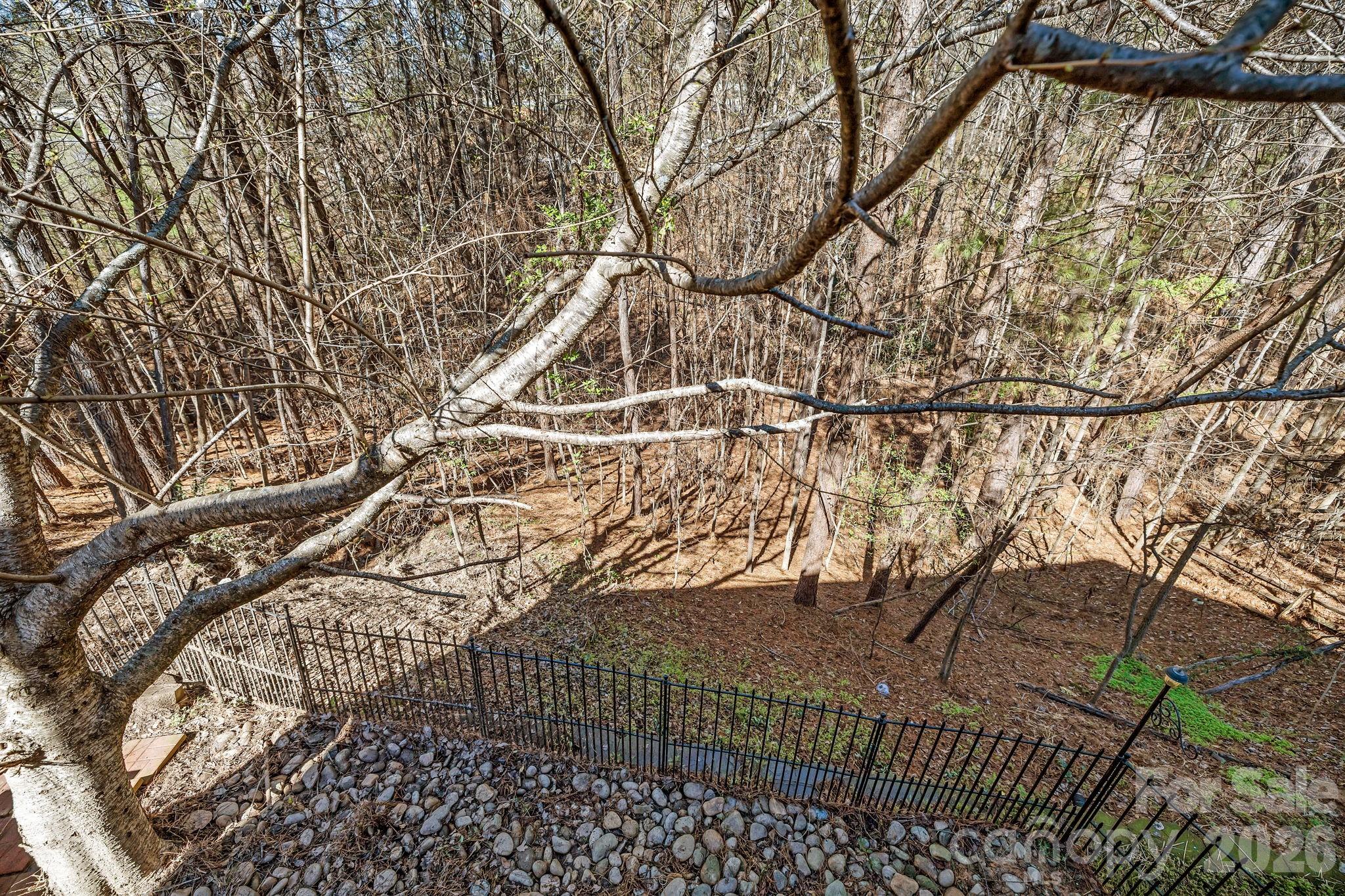 7218 Cascading Pines Drive — Tega Cay