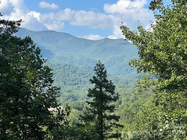 232 Heavenly View Drive — Sylva