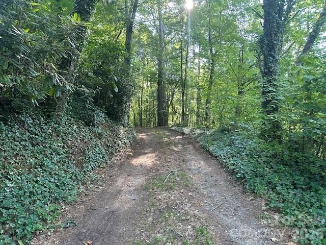 232 Heavenly View Drive — Sylva