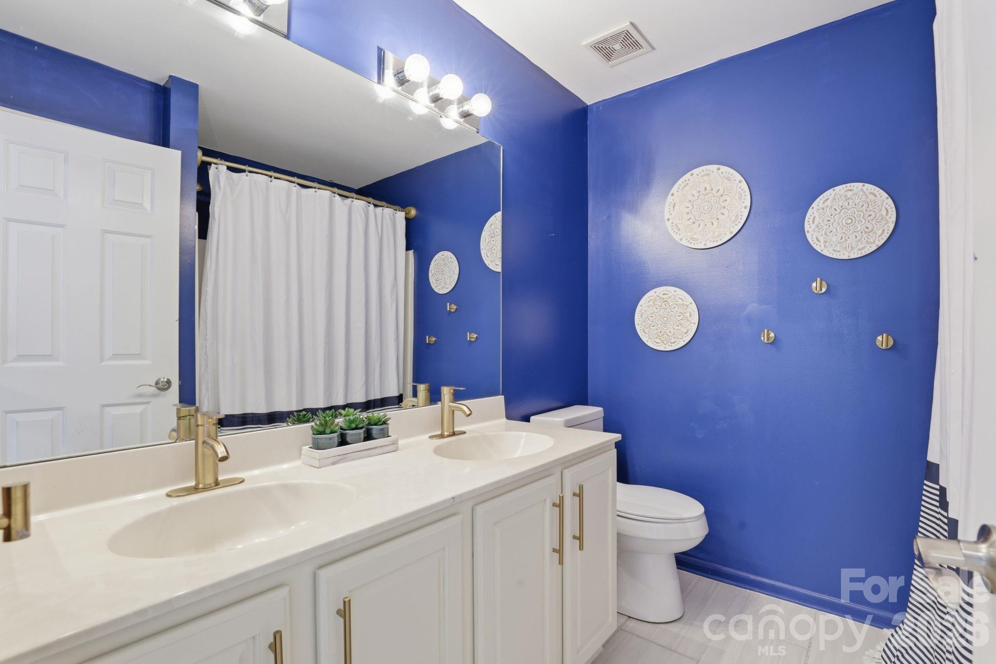 3909 Meadow Green Drive — Charlotte