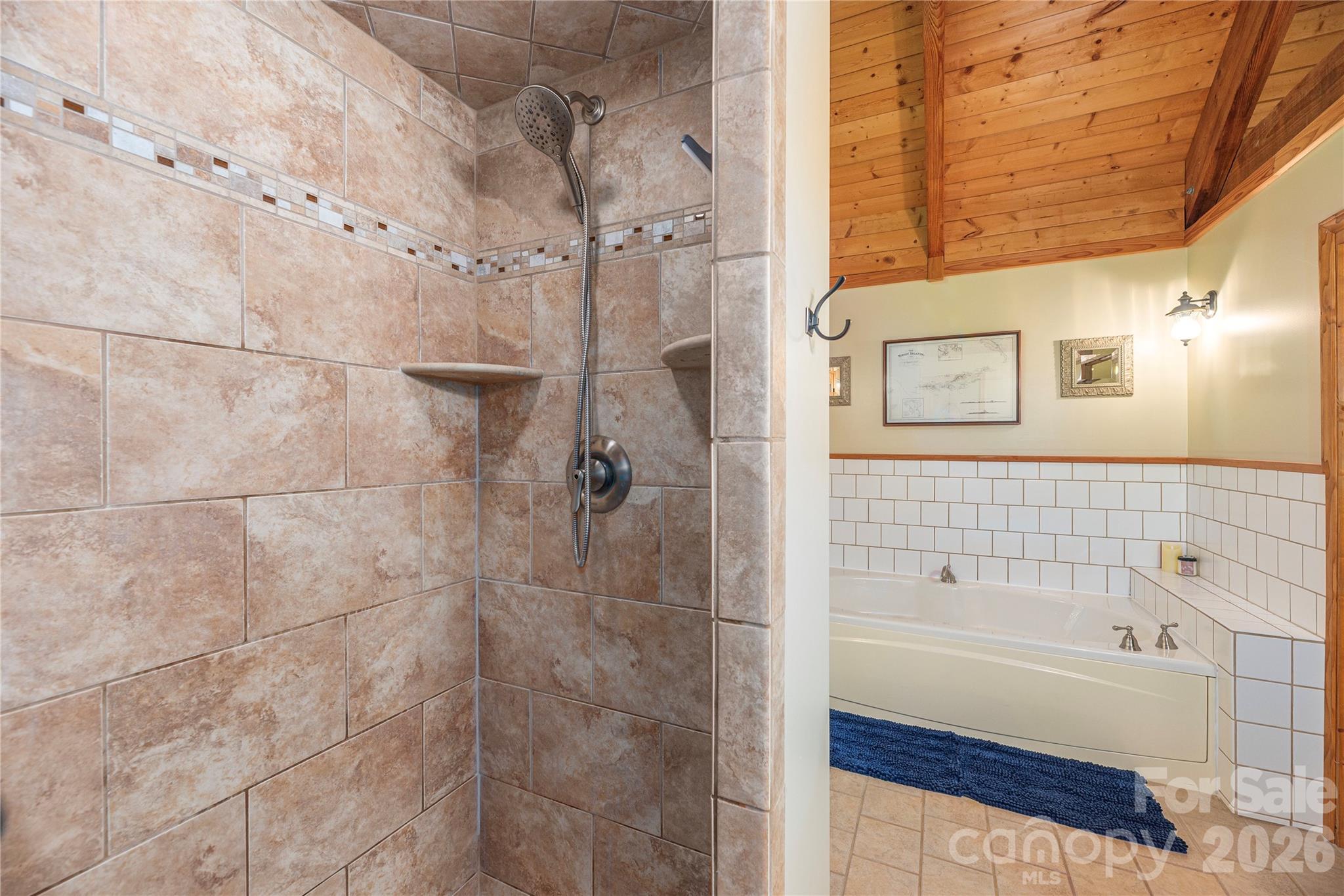 116 Ivy Road — Mills River