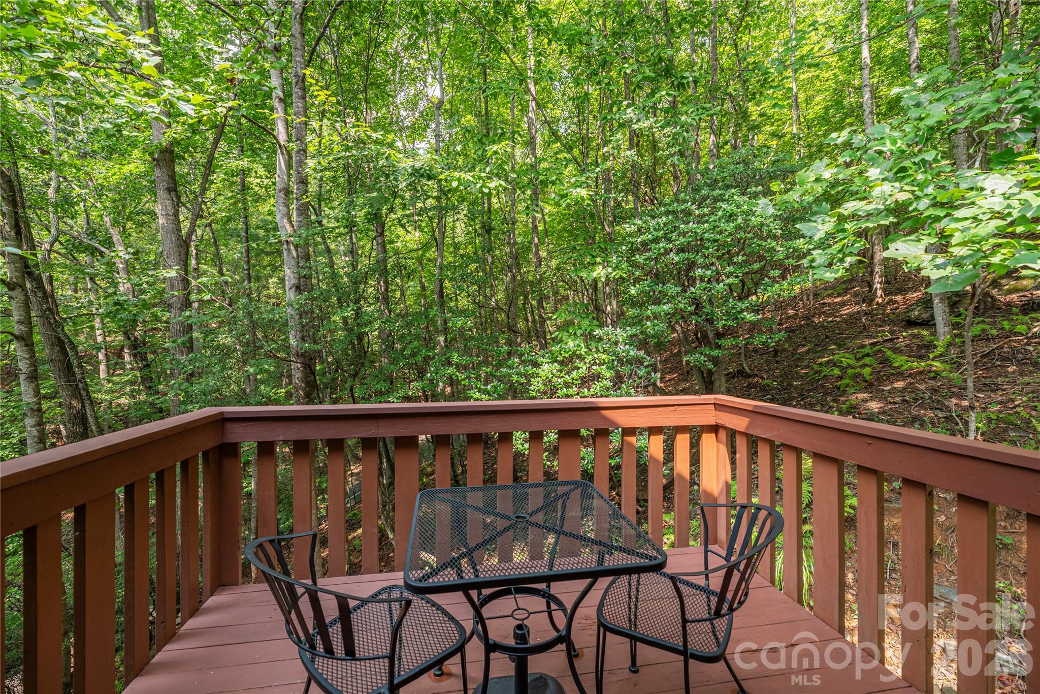 116 Ivy Road — Mills River
