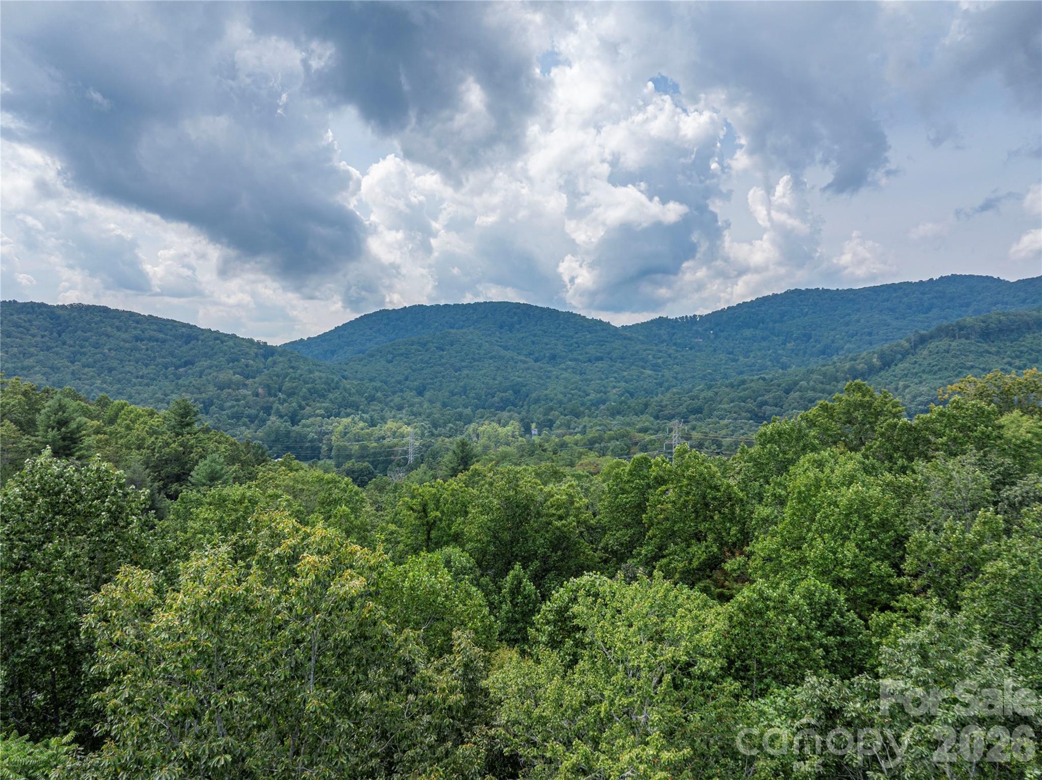 116 Ivy Road — Mills River
