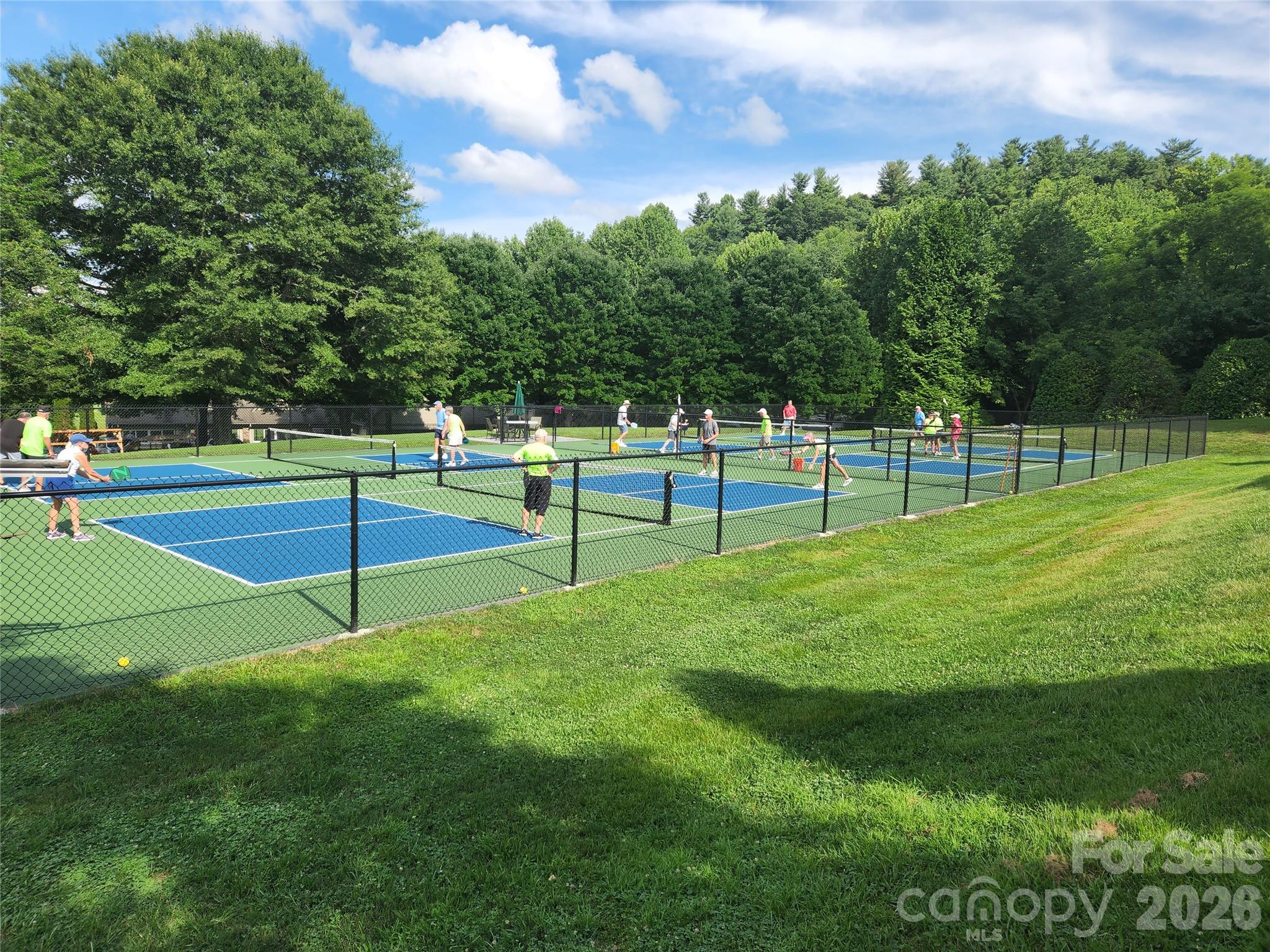 303 Golfside Drive — Flat Rock