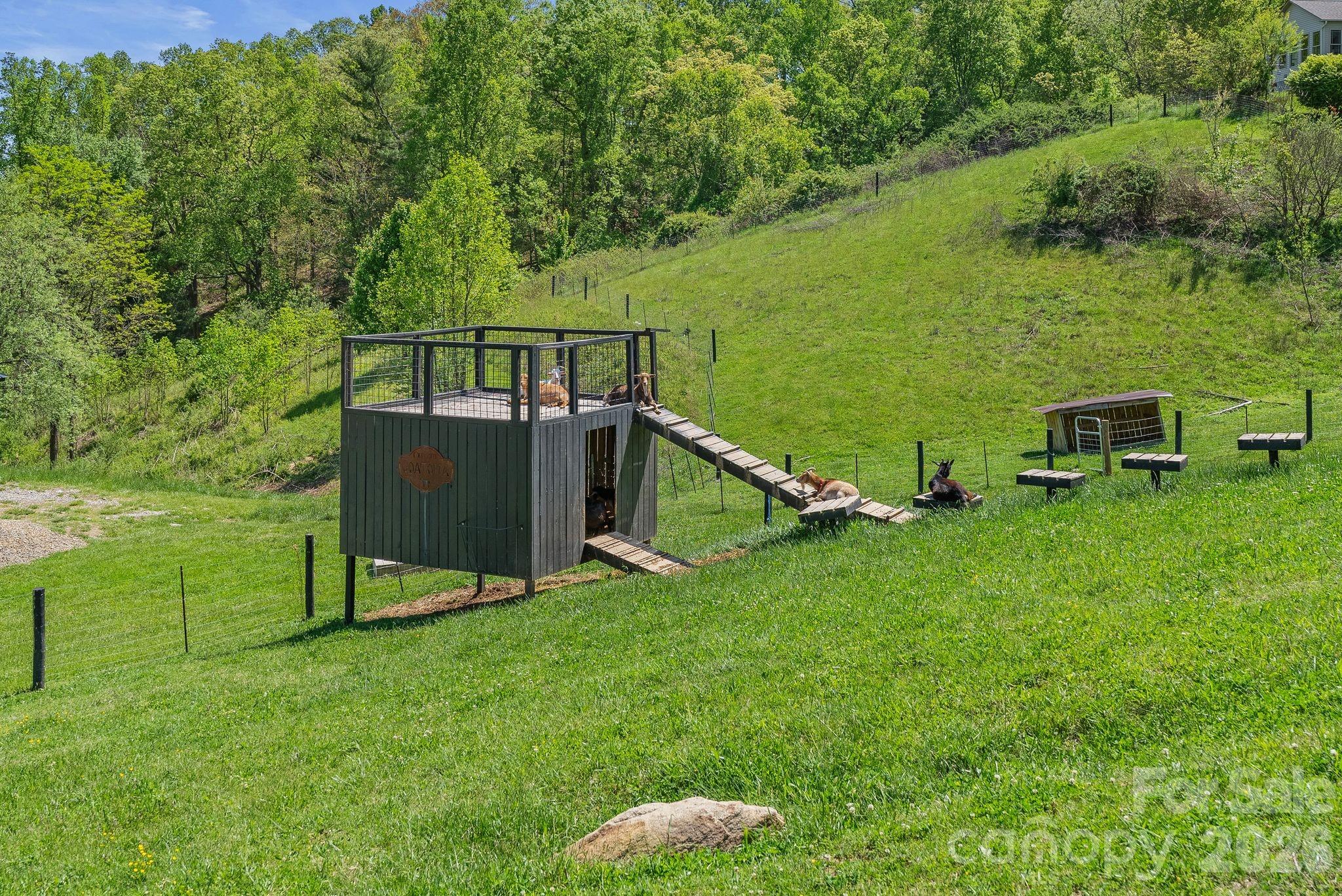 13 Tulip Poplar Trail — Asheville