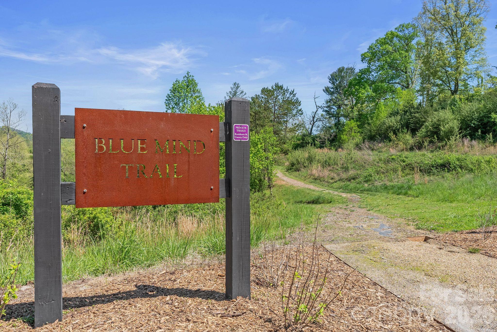 13 Tulip Poplar Trail — Asheville