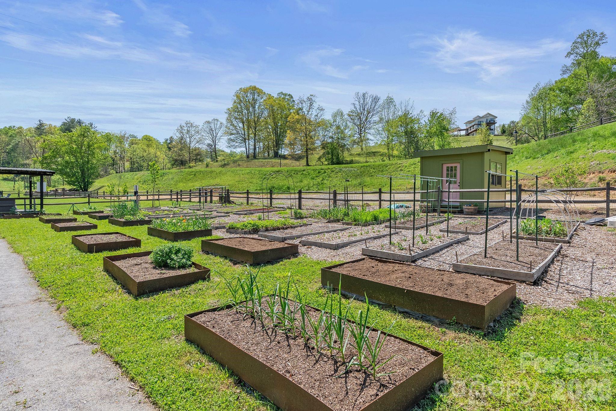 13 Tulip Poplar Trail — Asheville