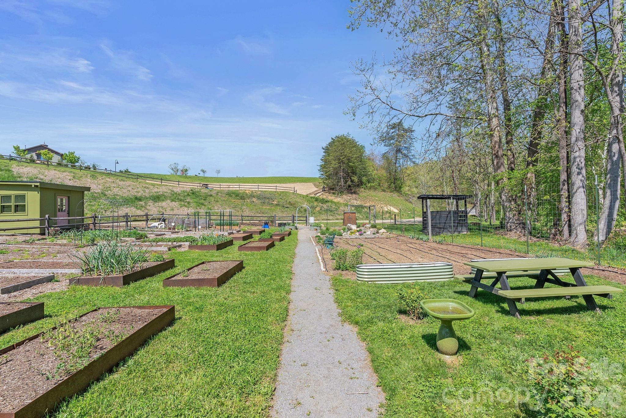 13 Tulip Poplar Trail — Asheville