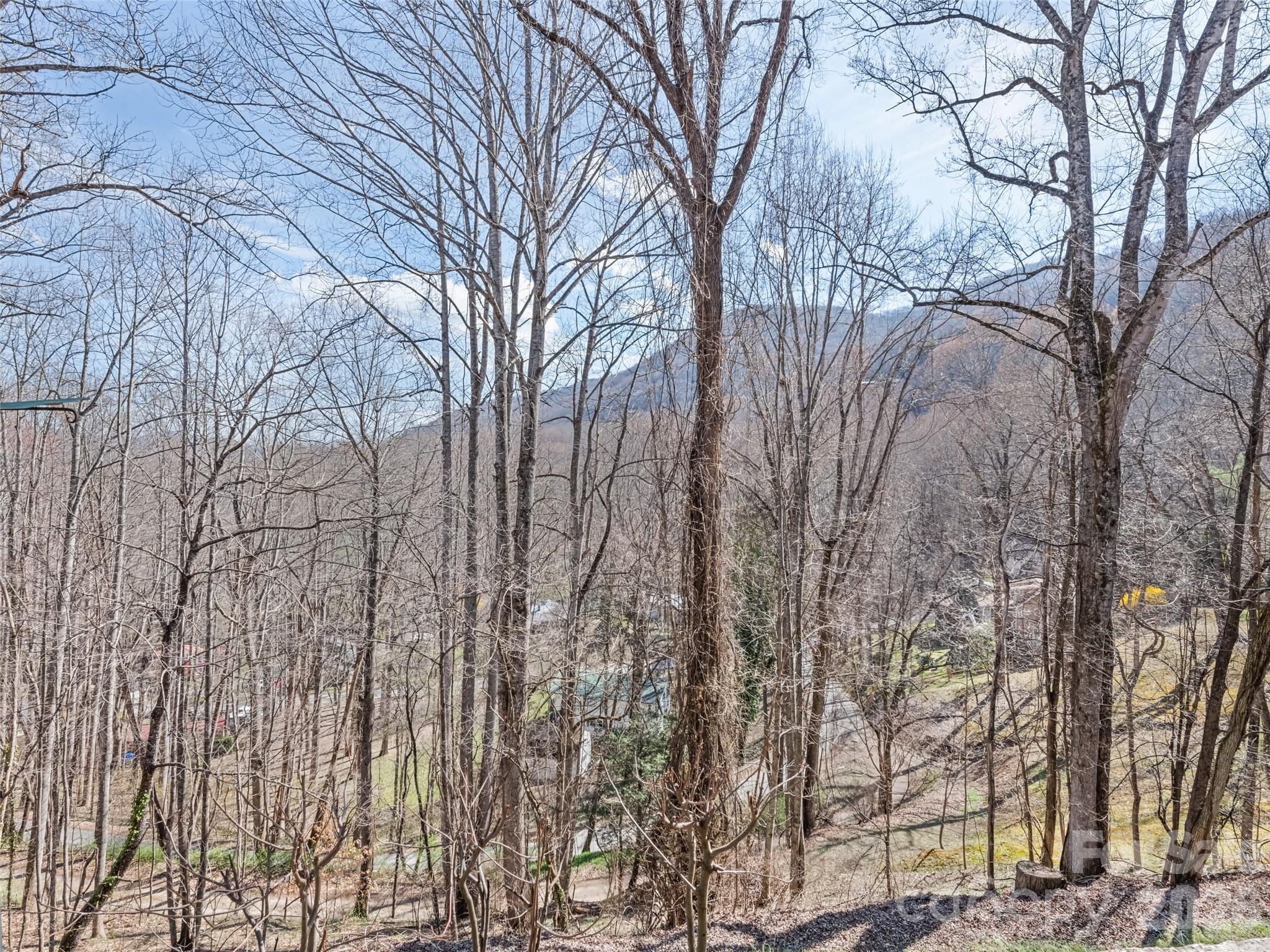 37 George Circle #9 — Maggie Valley
