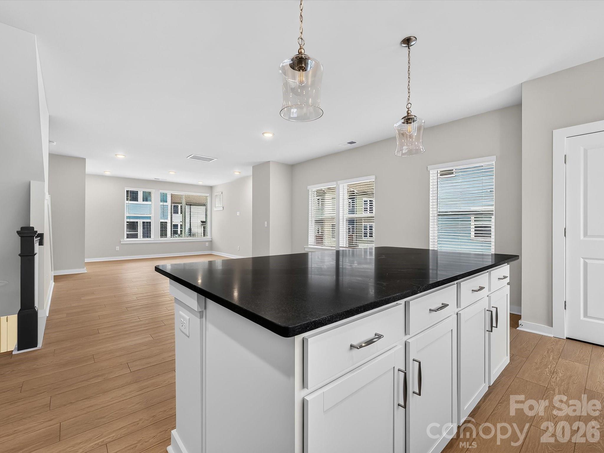 1128 Bismuth Lane — Charlotte