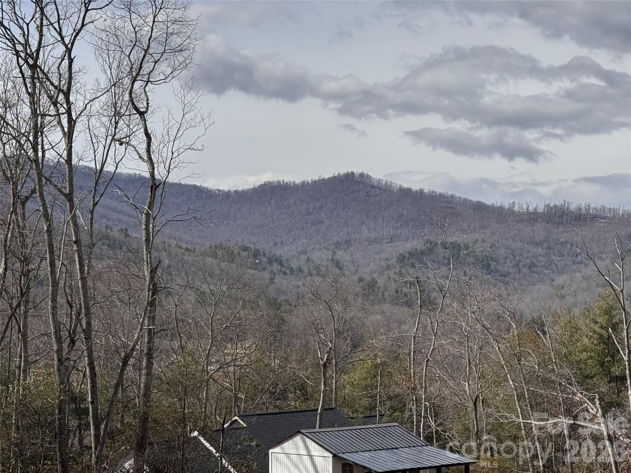 35 Azalea Drive — Spruce Pine