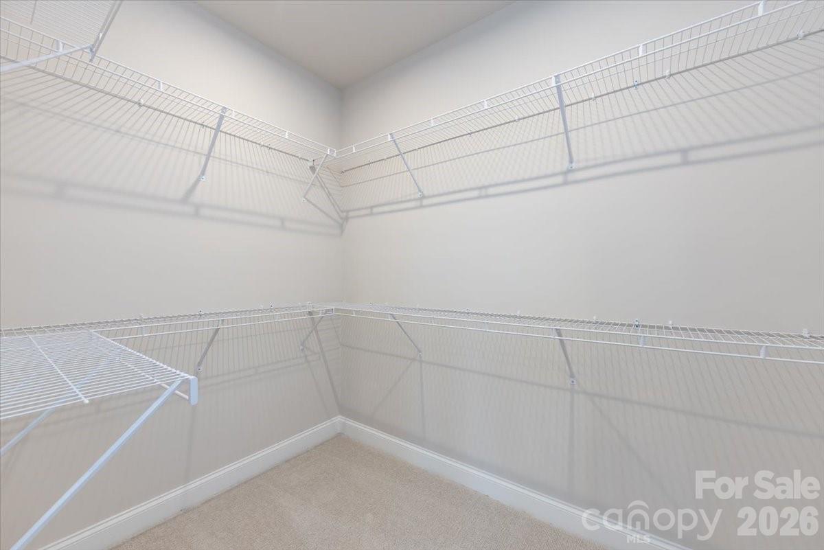 8030 Cedarsmith Court — Charlotte