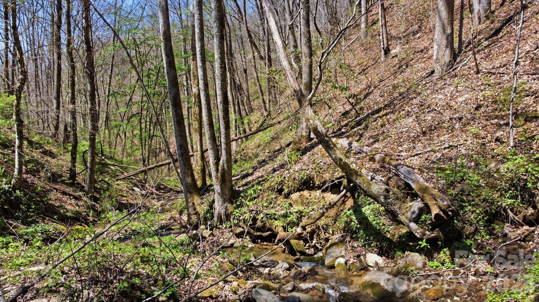 1837 E Alarka Road — Bryson City
