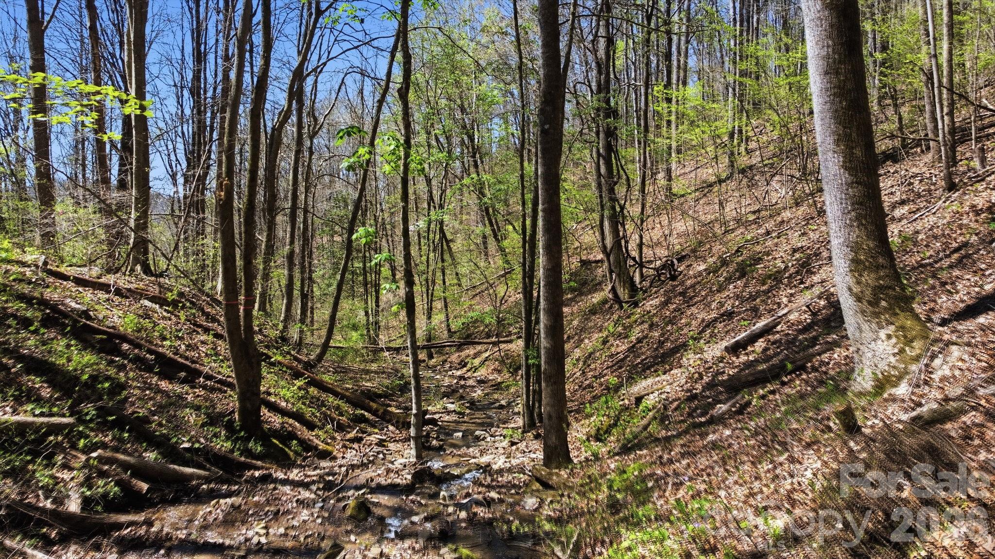 1837 E Alarka Road — Bryson City