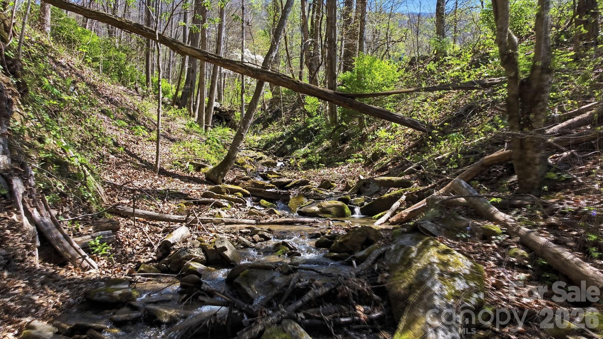 1837 E Alarka Road — Bryson City