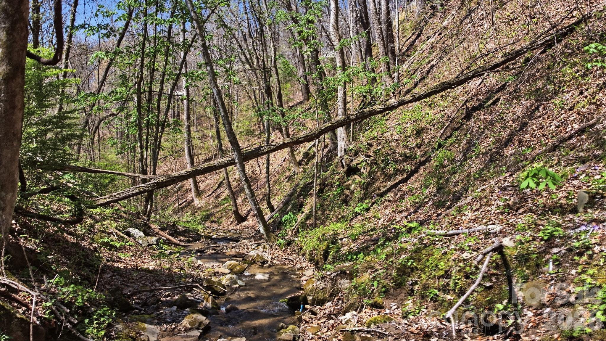 1837 E Alarka Road — Bryson City