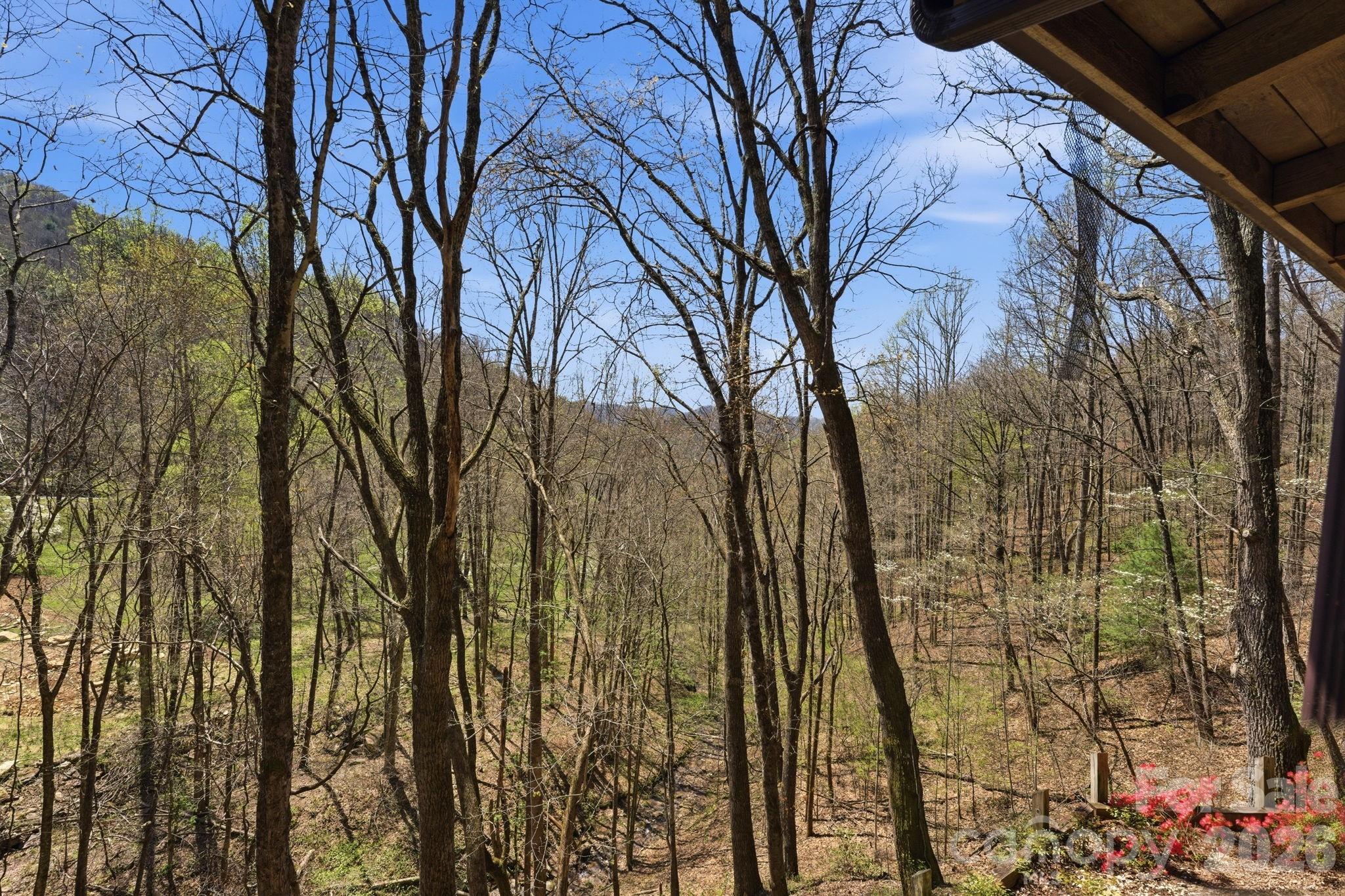 1837 E Alarka Road — Bryson City