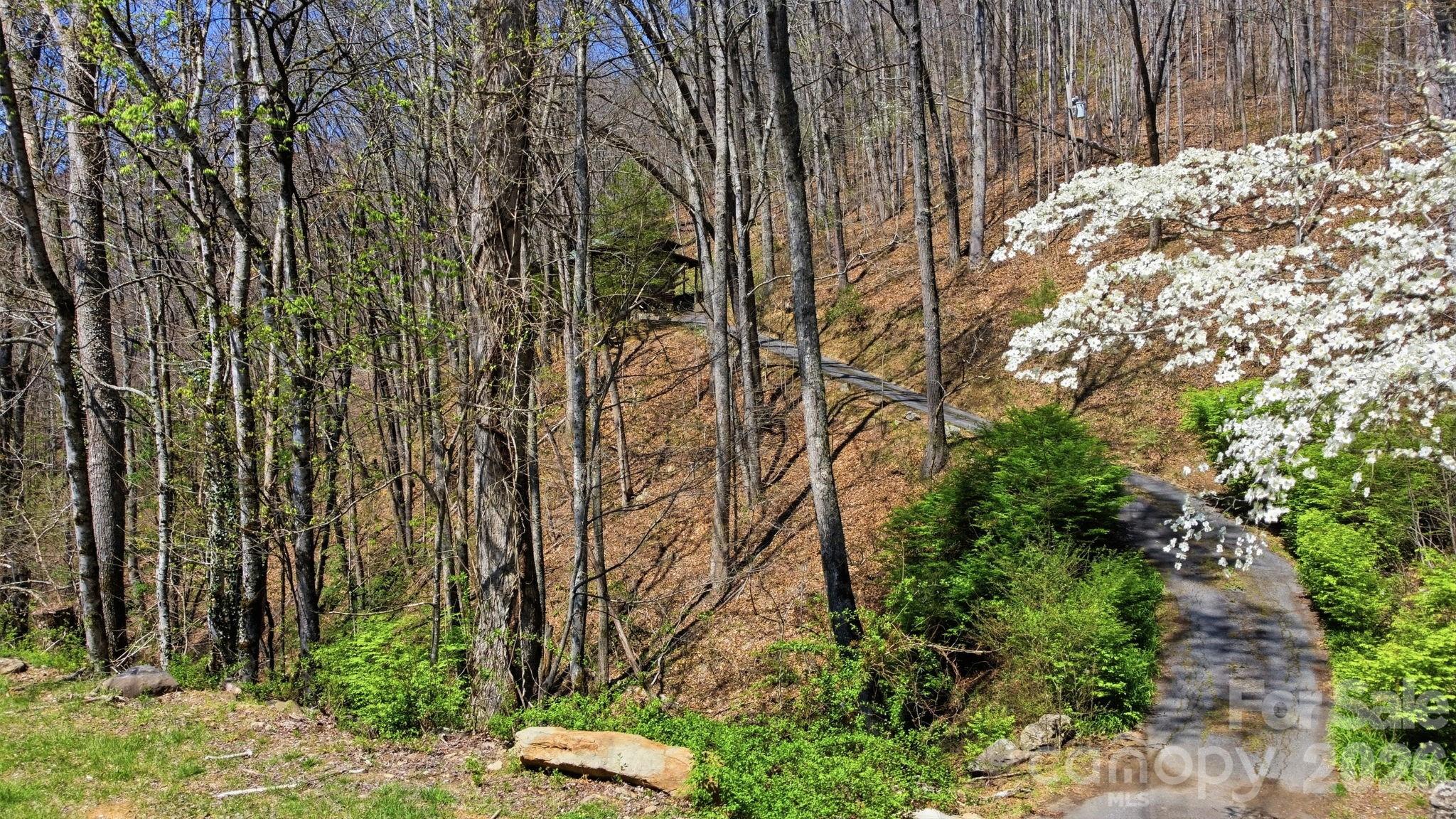 1837 E Alarka Road — Bryson City