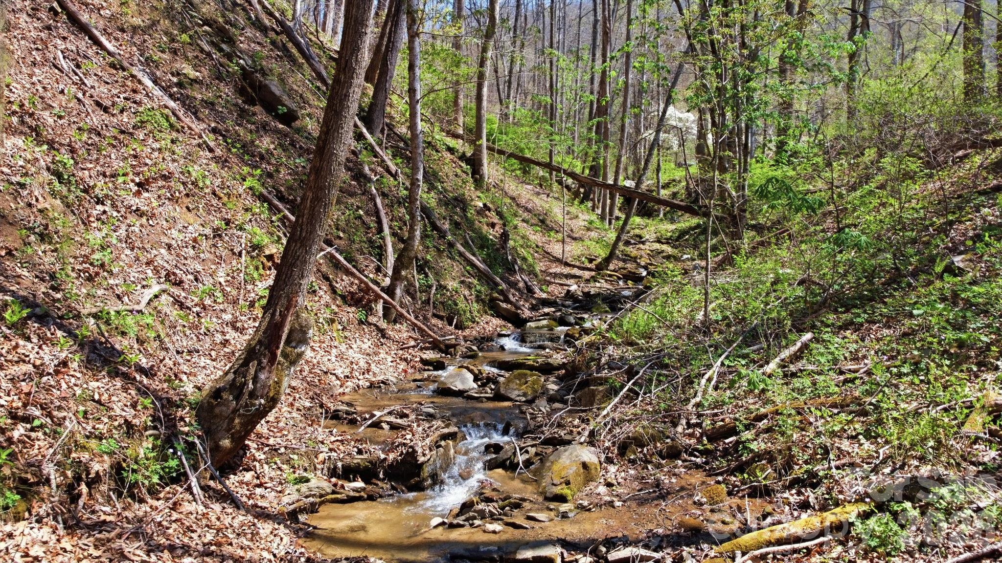 1837 E Alarka Road — Bryson City