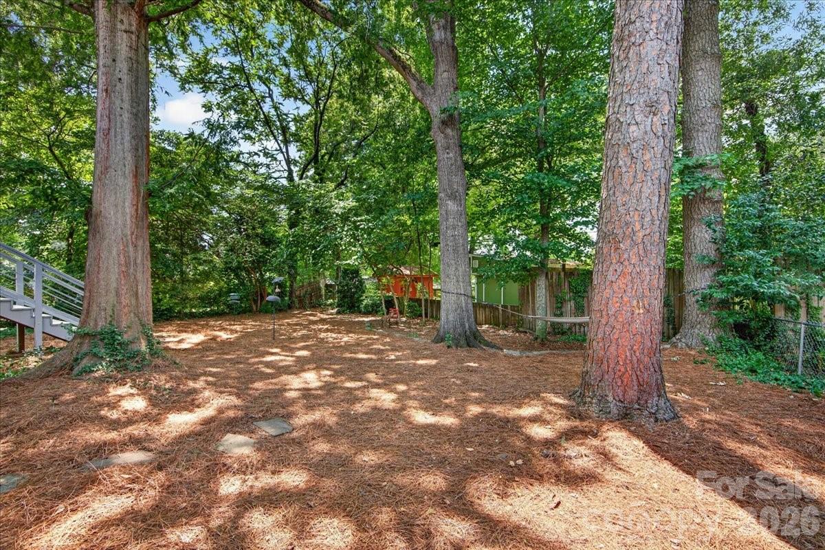 3425 Airlie Street — Charlotte