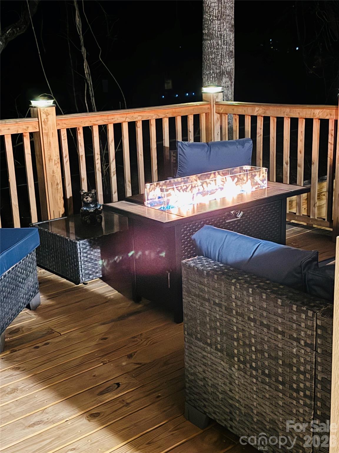 554 Sweet Birch Park Lane — Black Mountain