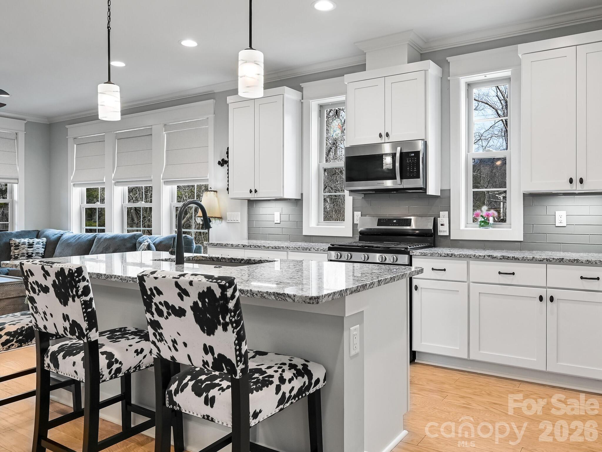 554 Sweet Birch Park Lane — Black Mountain