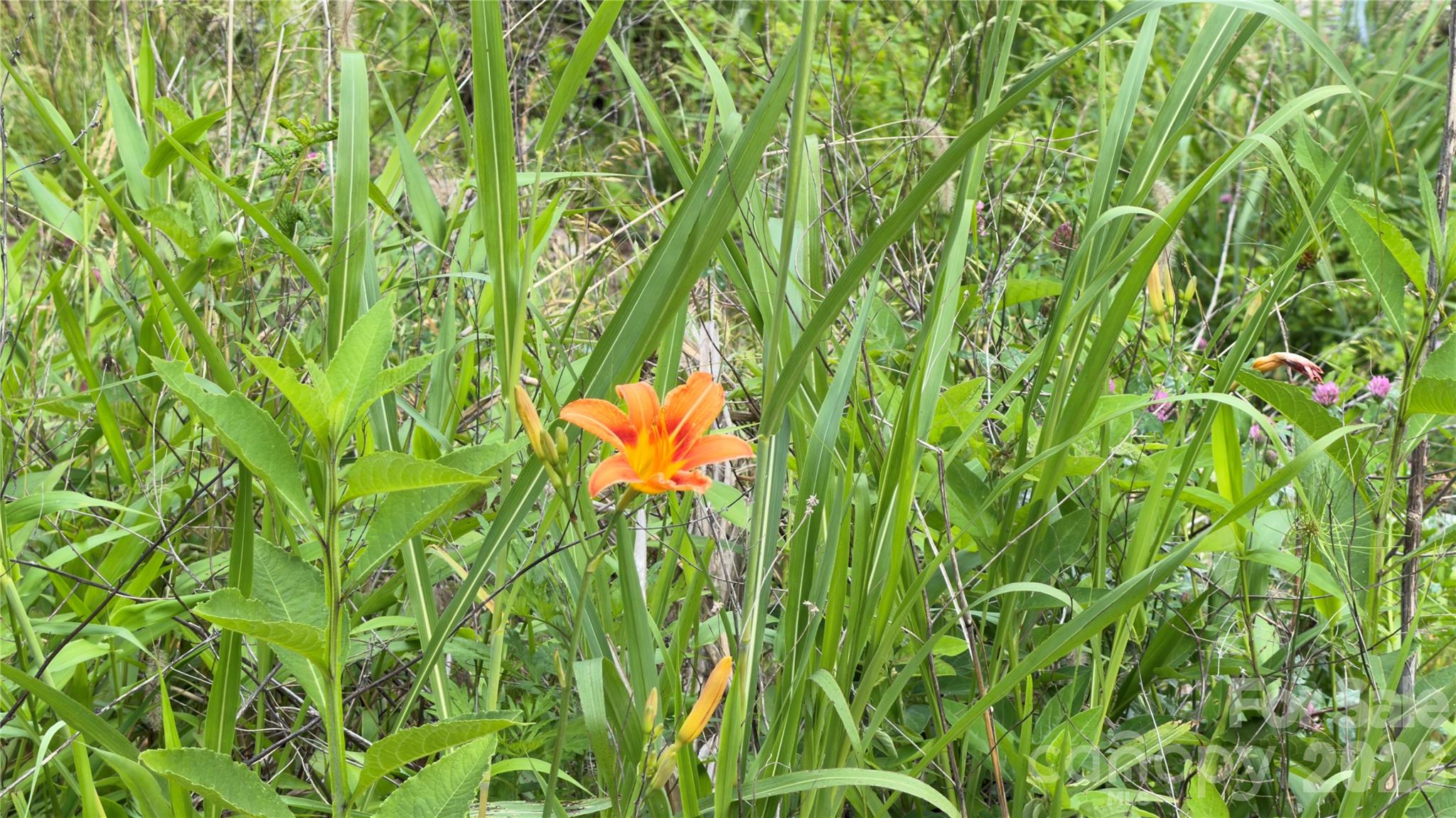 3509 Gabriels Creek Road — Mars Hill
