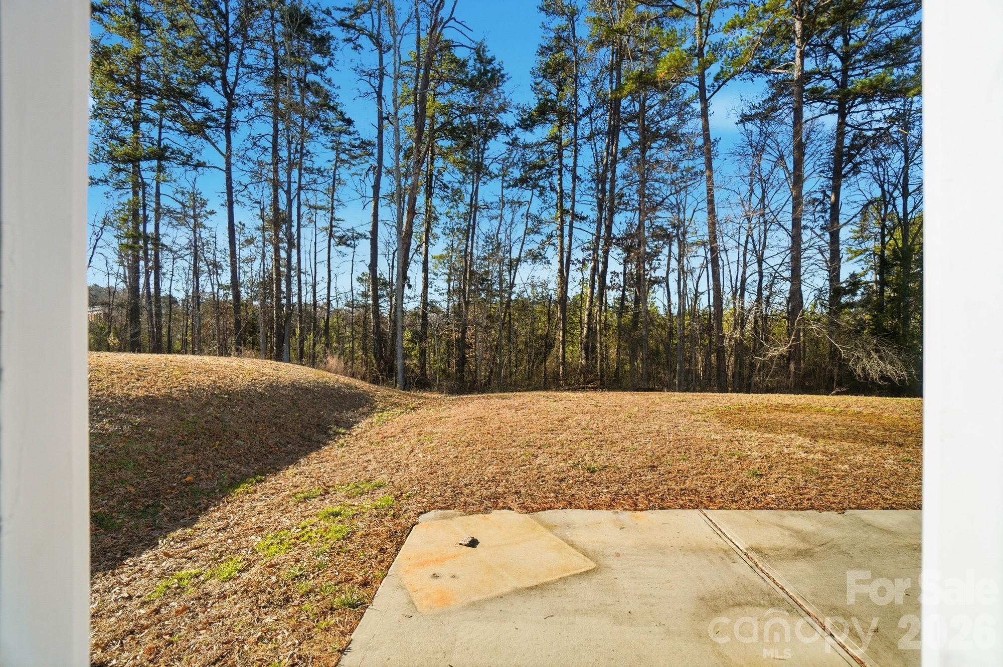 1000 Newfound Hollow Drive — Charlotte