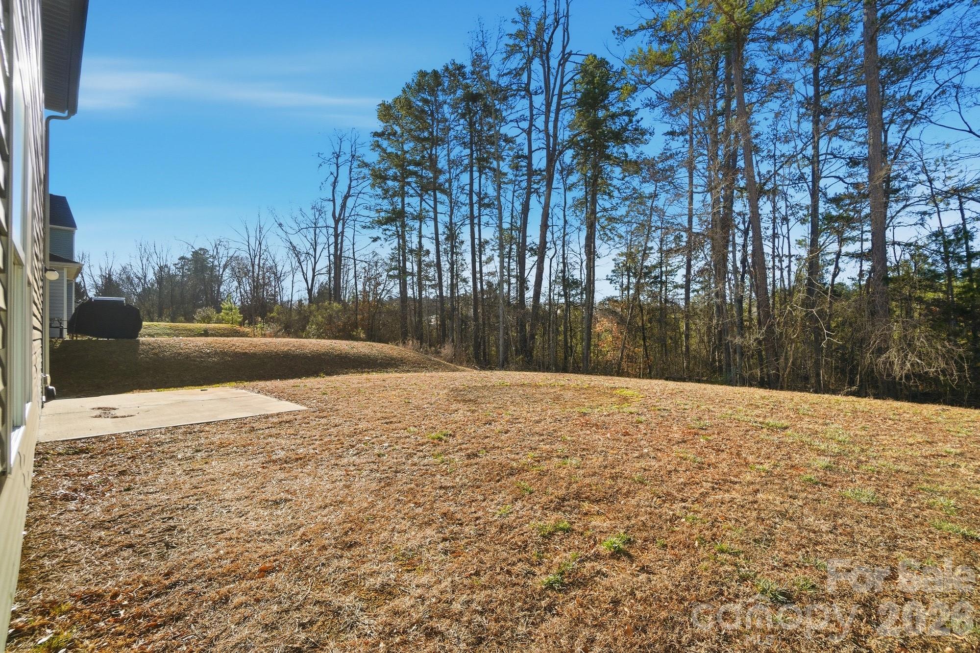 1000 Newfound Hollow Drive — Charlotte