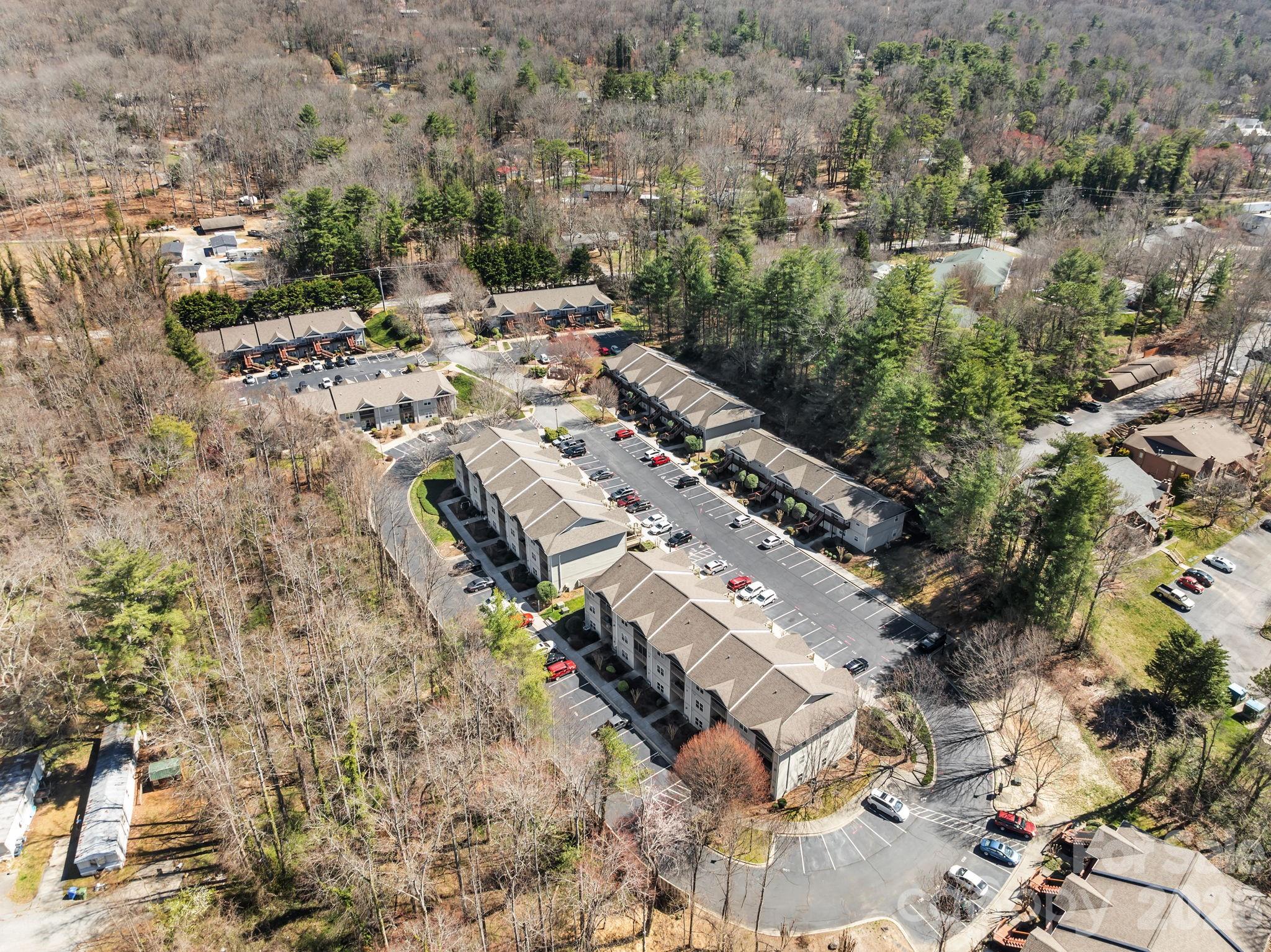 704 Carlyle Way — Asheville