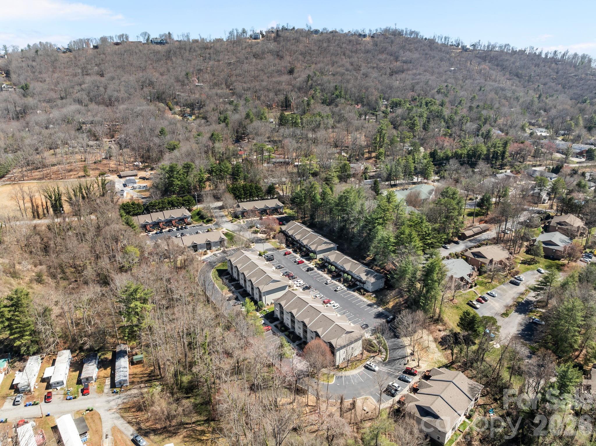 704 Carlyle Way — Asheville