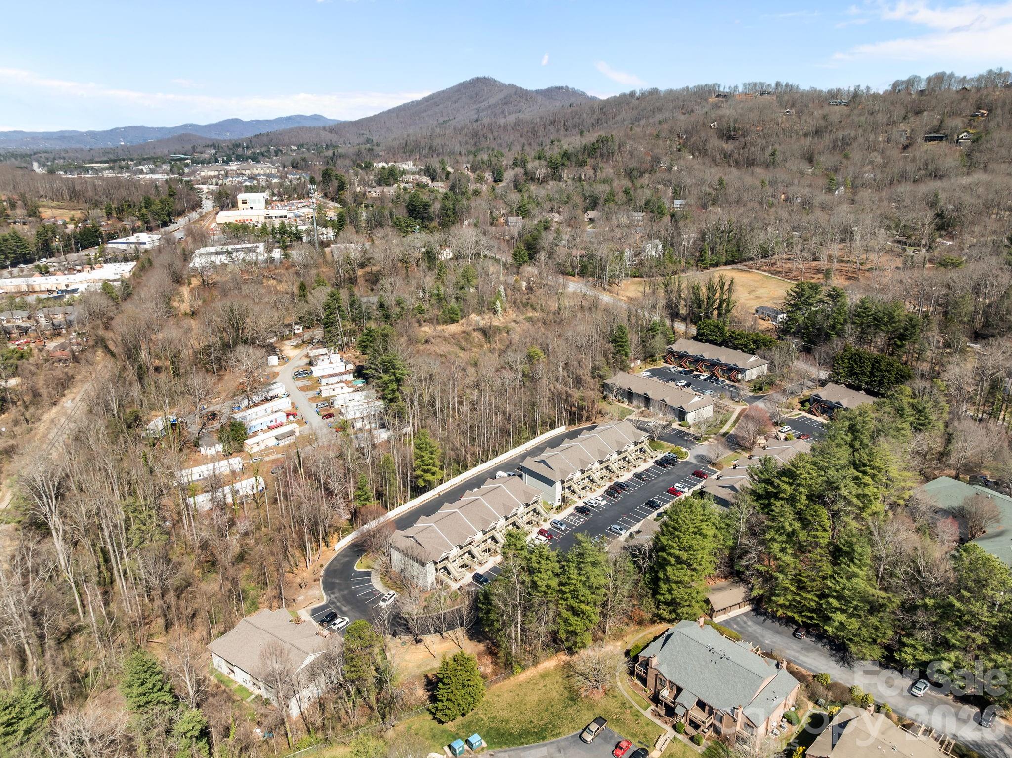 704 Carlyle Way — Asheville