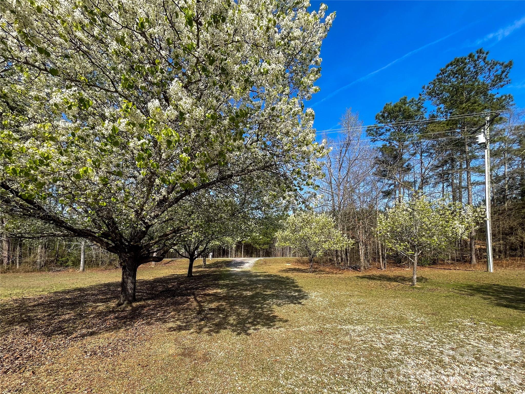3271 Ebenezer Church Road — Camden
