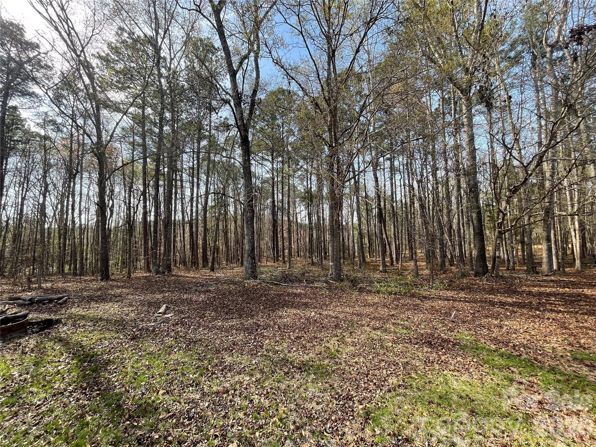 3271 Ebenezer Church Road — Camden