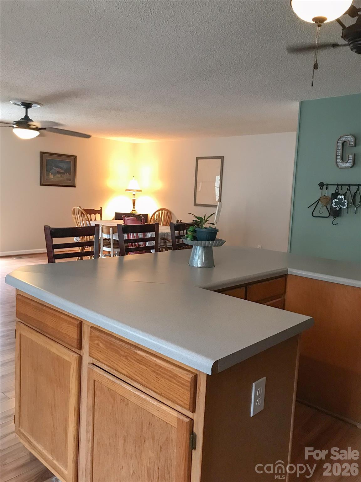 3271 Ebenezer Church Road — Camden