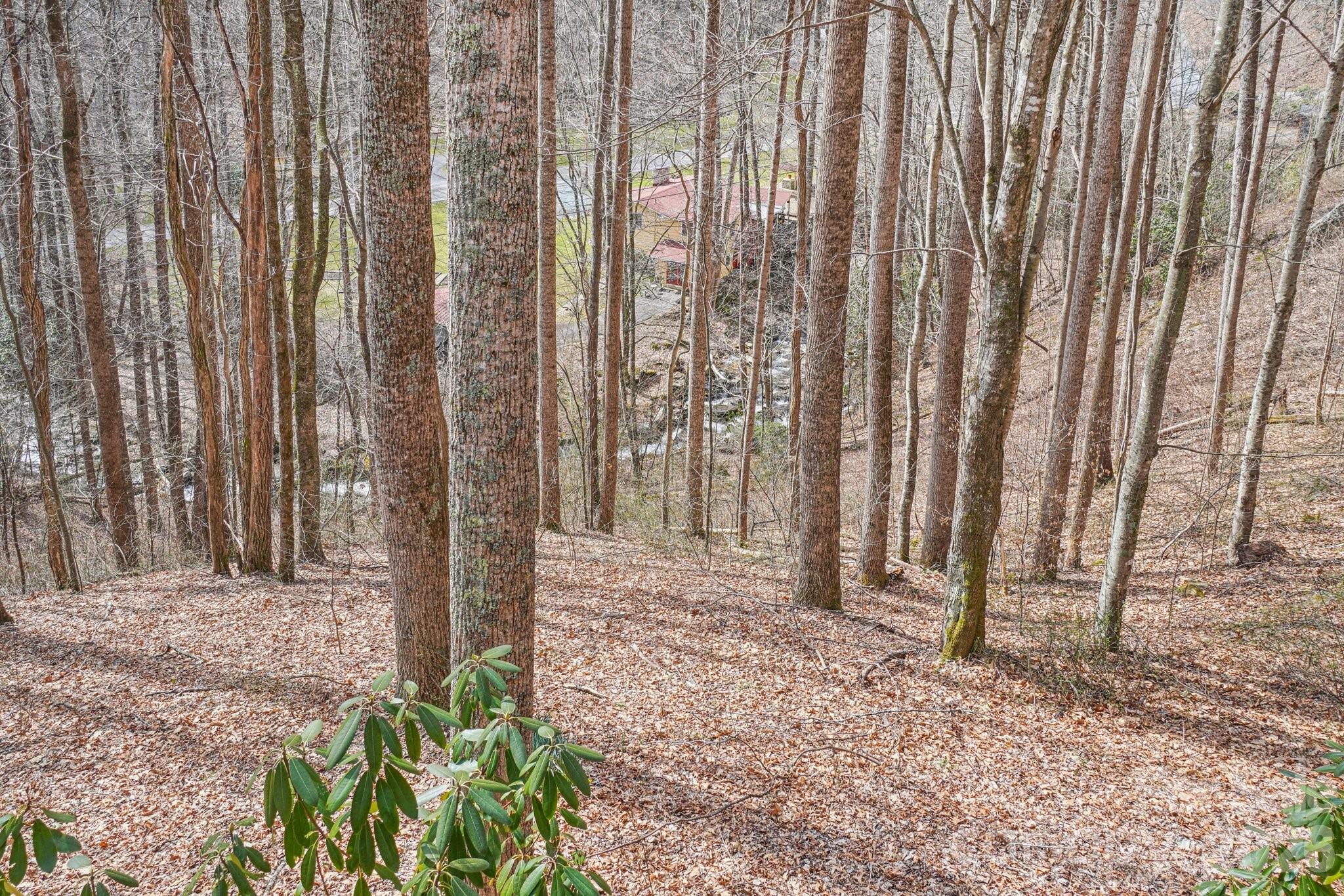 307 Roaring Creek Lane — Waynesville