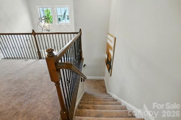 5107 Waldron Meadow Drive — Charlotte