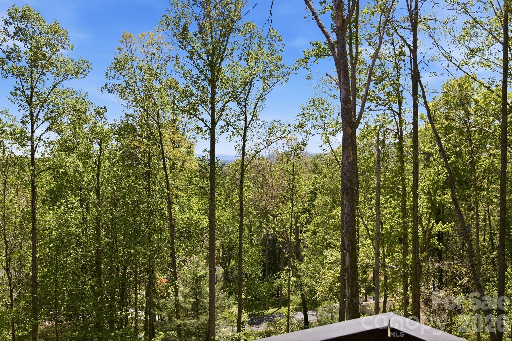 102 Sandpiper Palisades Street — Hendersonville