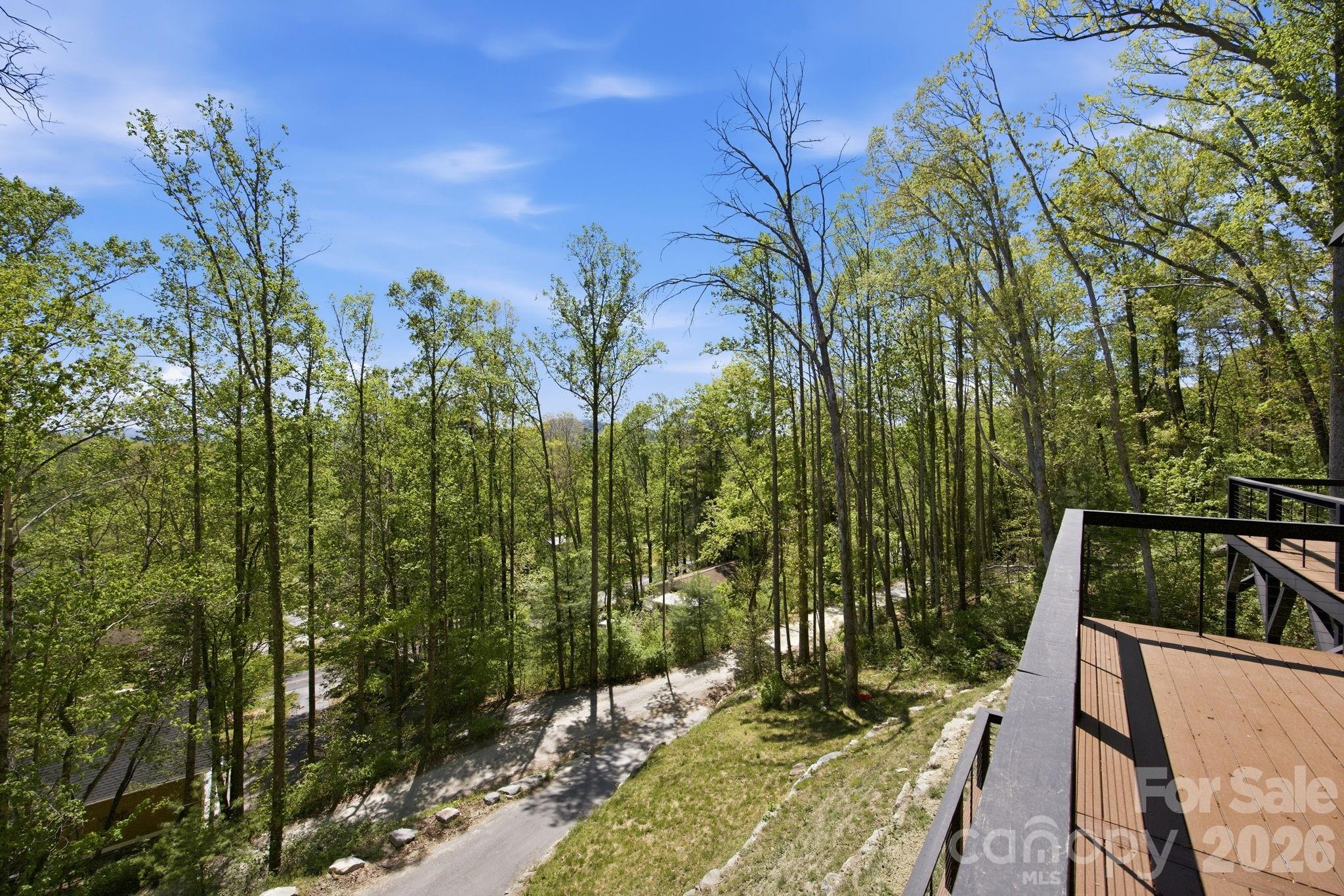102 Sandpiper Palisades Street — Hendersonville